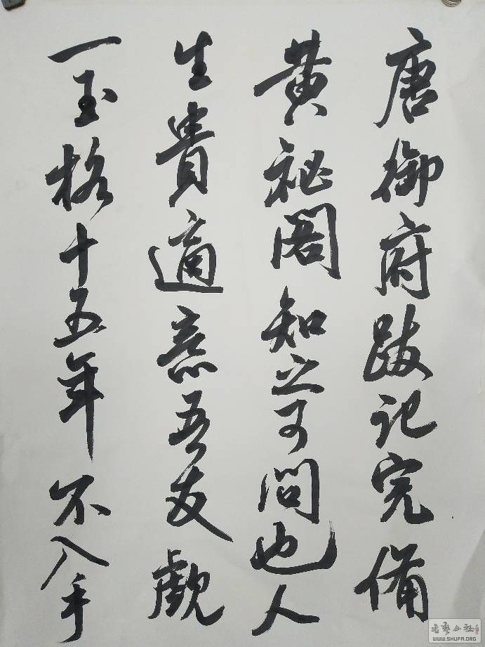 130008fcu98g1da898ccrw.jpg