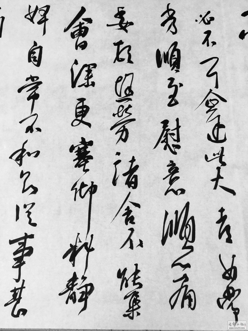 001813fjj683l83dudqxsr.jpg