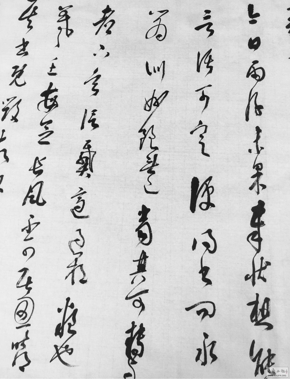 224411t94cvcm9izcivmsc.jpg