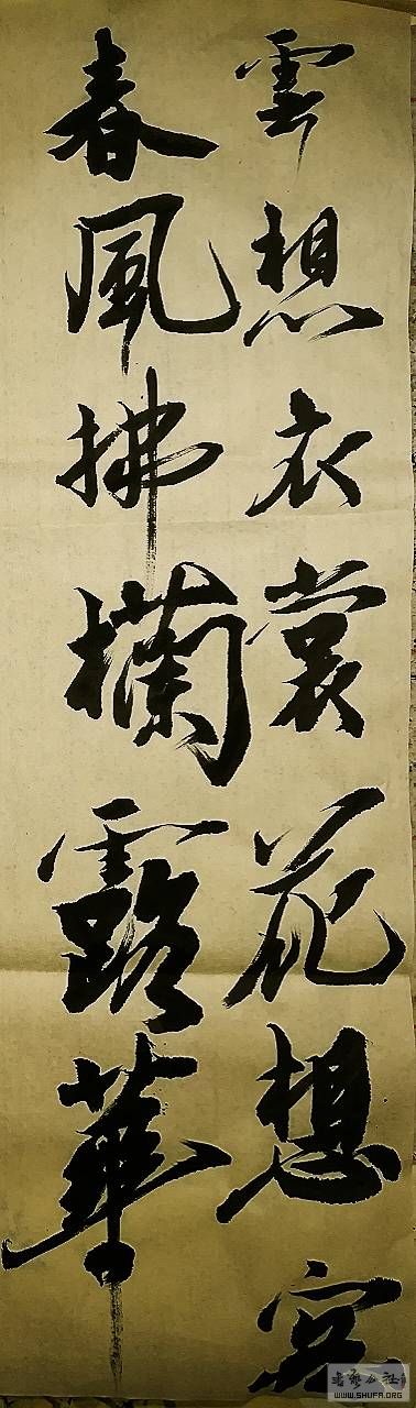 081826hkiffmbm732t55n2.jpg