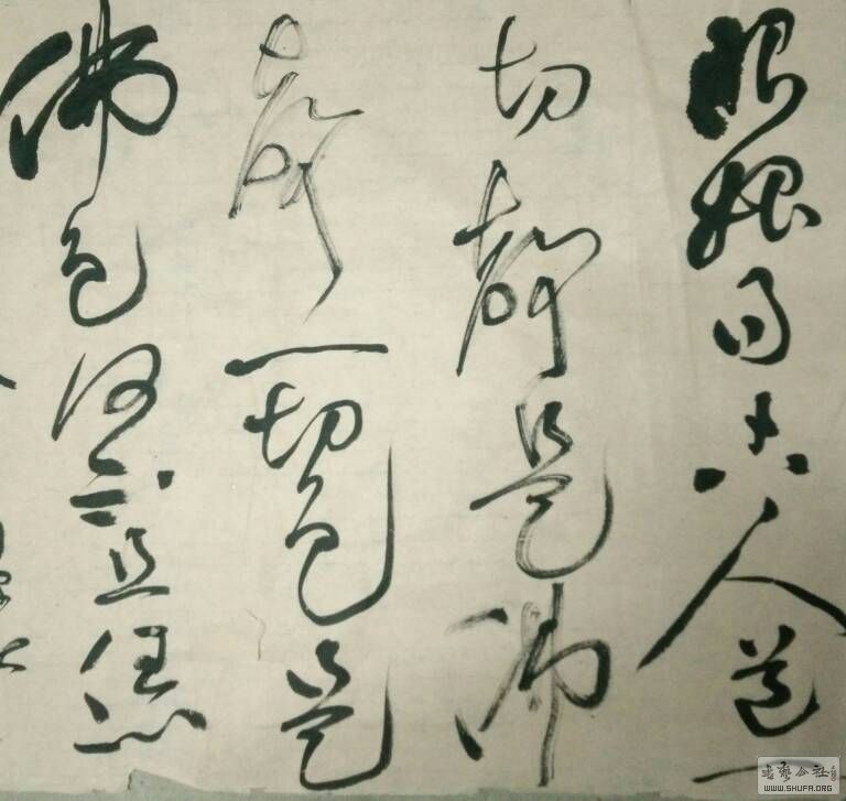234455ekfzrwk5cxa5hkwf.JPG