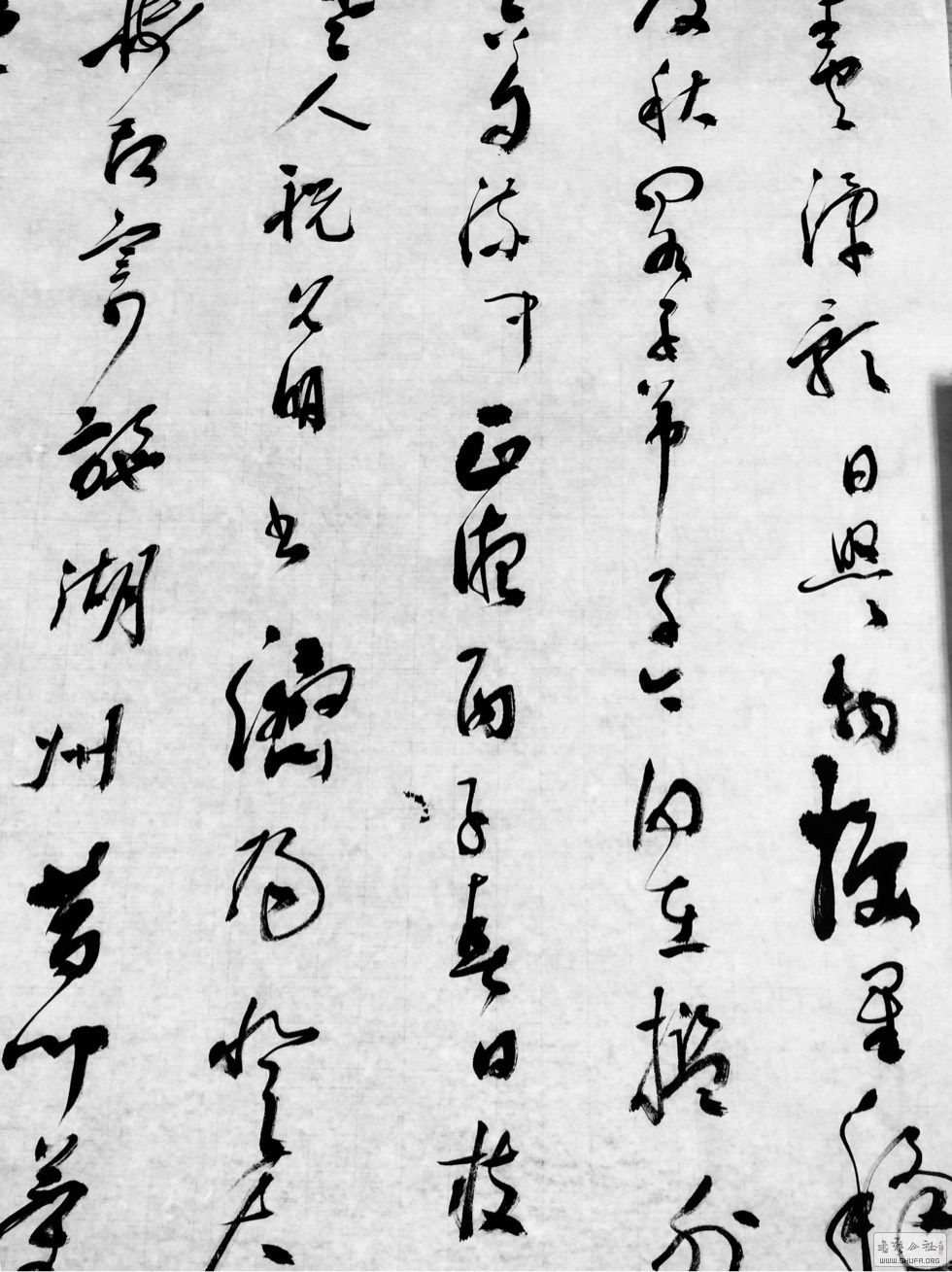 225718ebtx0qtkuuoho8qz.jpg