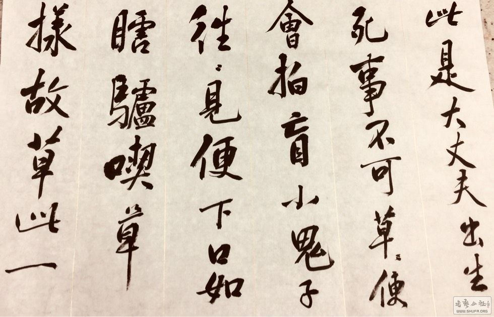 190347tou6mjjjxsmspmjx.jpg