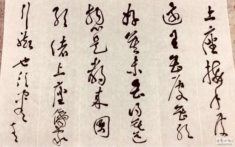 190653ji5drjdpmupui2dp.jpg