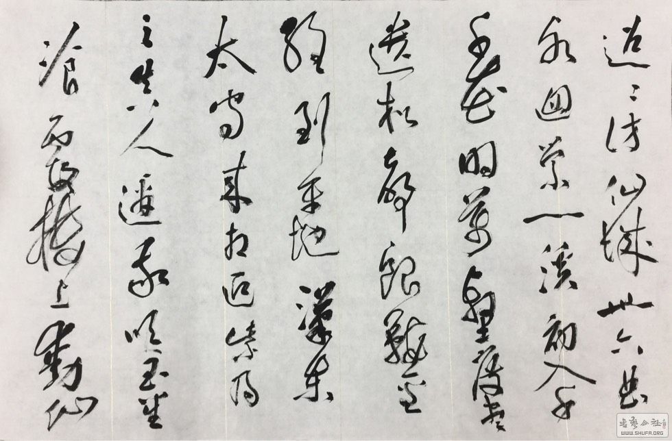 211604kg5zhusa0kiiskub.jpg