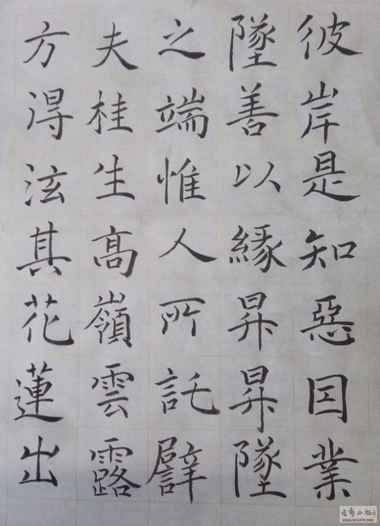 1508936620091.jpg