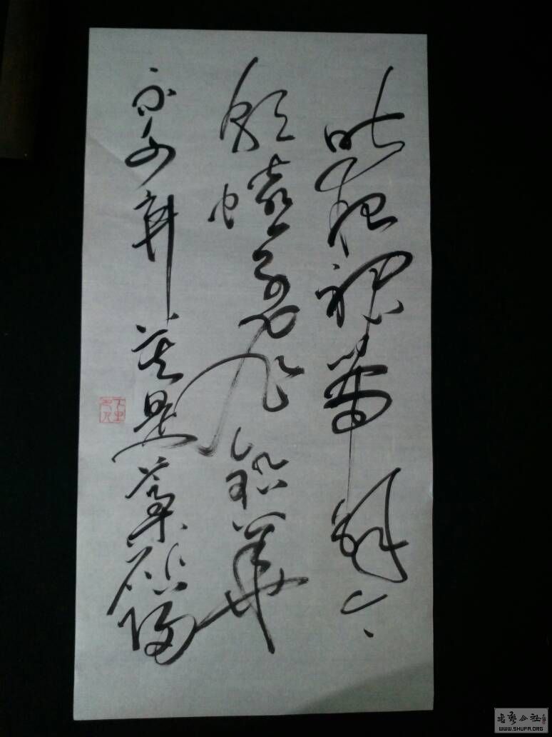 204131zc0498kpg044ulk9.jpg
