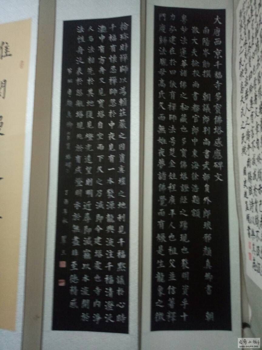 193829cs1qxaeeswxwenqj.jpg