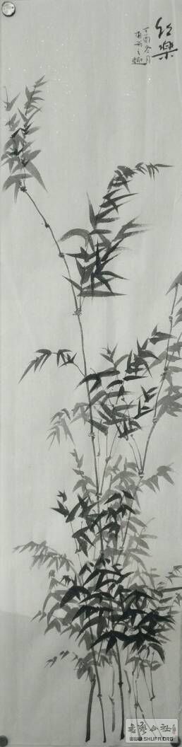 170243x1xp5a51q5bybx1k.JPG