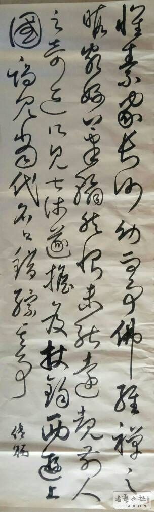174831fndaawqz8shmcacb.jpg