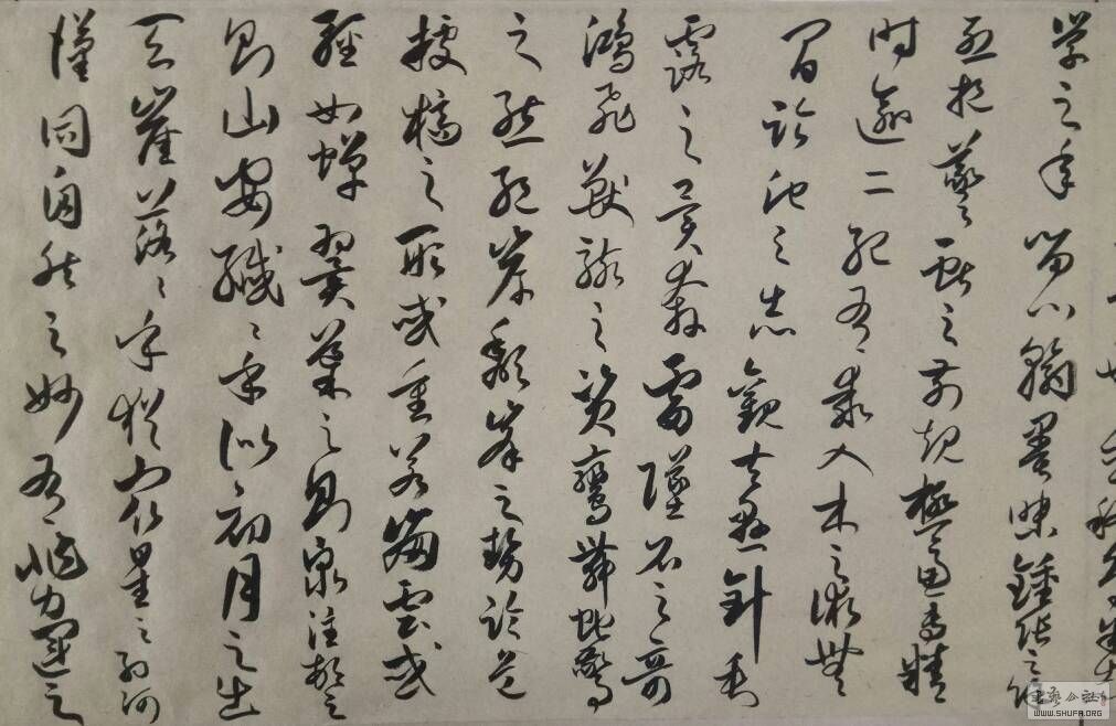 071941cf54u2tf4e1t2555.jpg