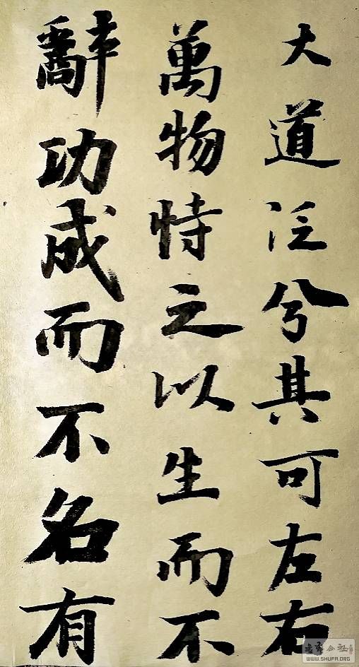 205312flmot8fhn5poqpyn.jpg