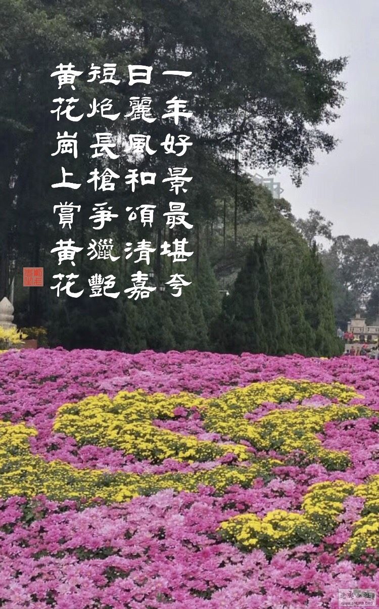 225127qrkpmupm58ba8a84.jpg