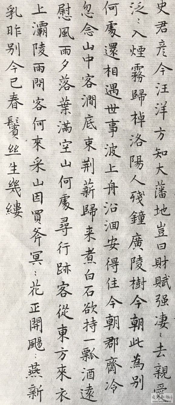 135619s78ao841768aw4oo.jpg