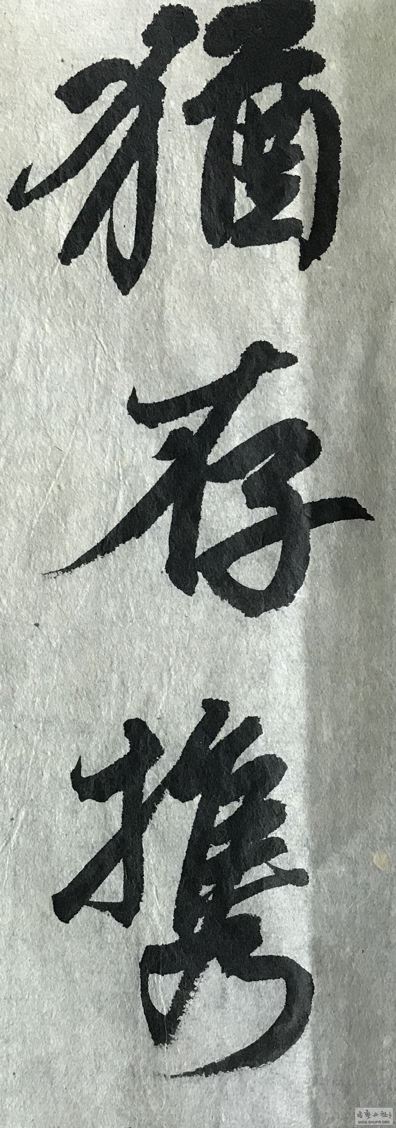 085747u9xxzx2122z1lec9.jpg