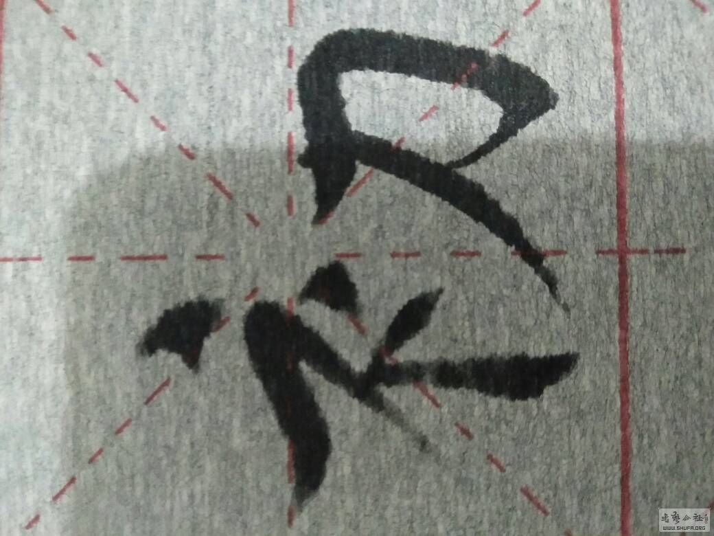 200059xeceo2cshodcrejc.jpg