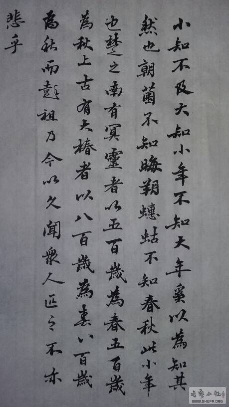 004037cot35aggpak90p4w.jpg