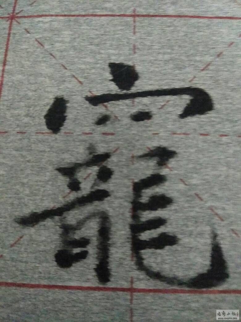 225250osqqag6p6p5yeadg.jpg