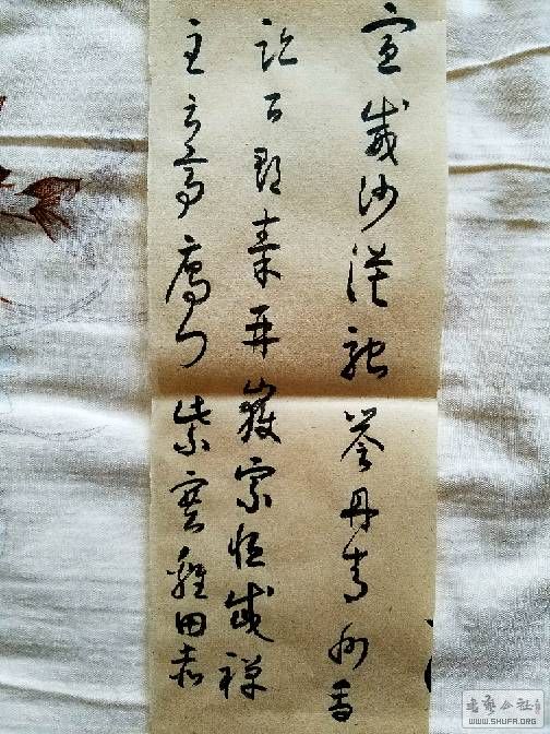 225105r1qun8j8q0zq8ppp.jpg