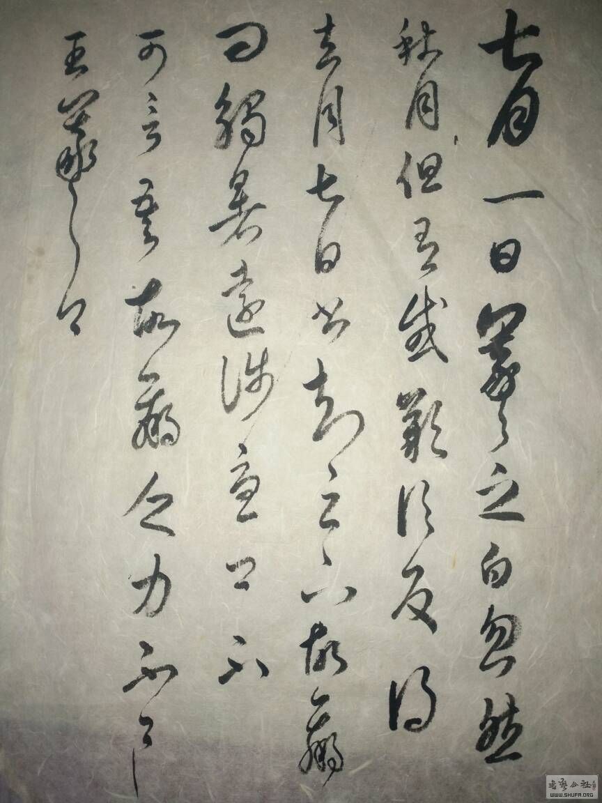 081439he5jp3z59np2spgk.jpg