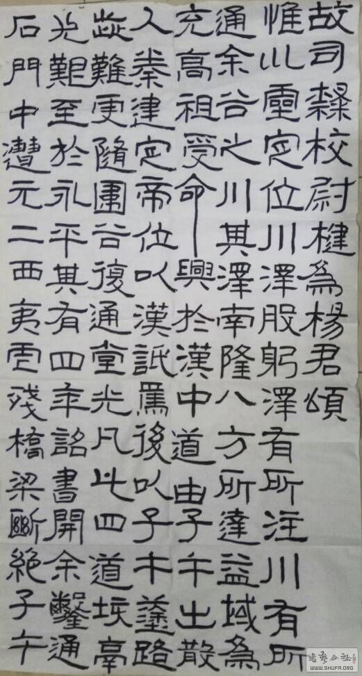 155113bvvbwb2000o2ommb.jpg