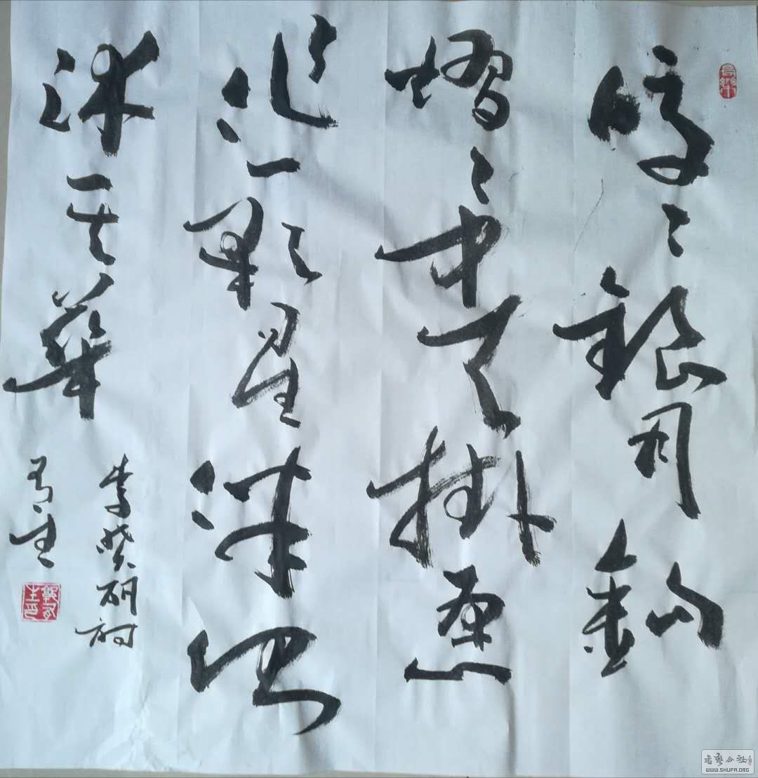 鷨11.jpg