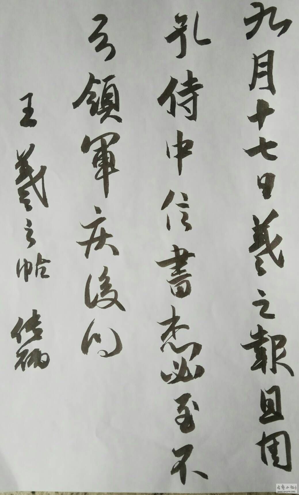 082107hix9q9oi7sjis007.jpg