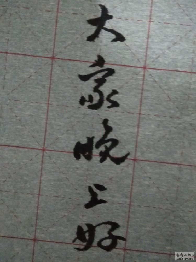 IMG20180129232009.jpg