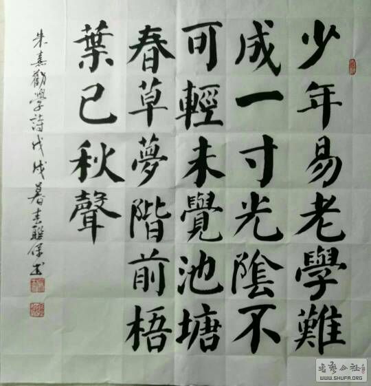 223444rtqz2lboqiw25owa.jpg