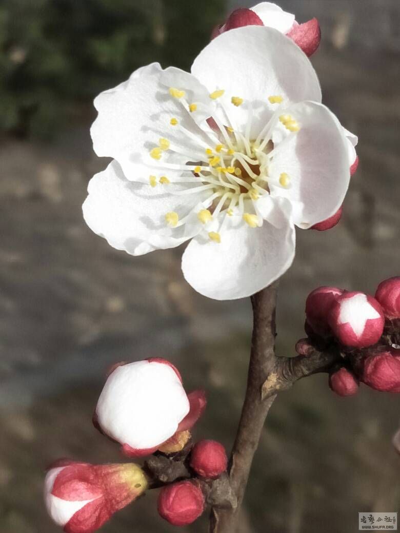 180306qwtonon7w5naog5g.jpg