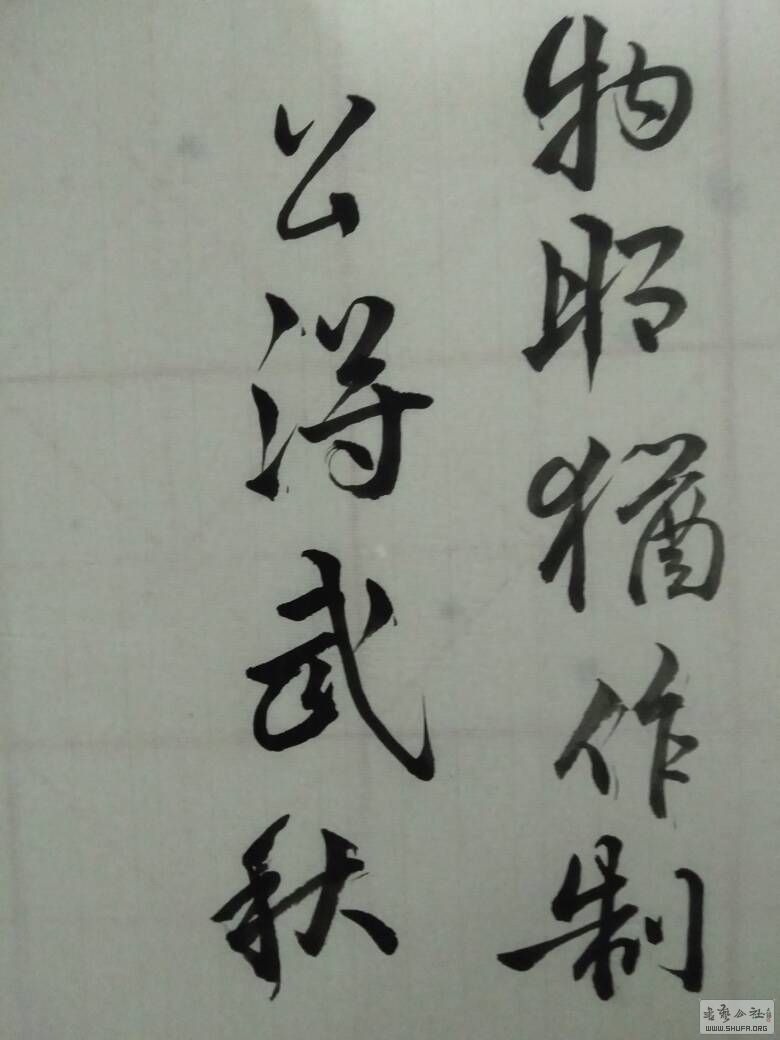 214449a19141z44sso444d.jpg