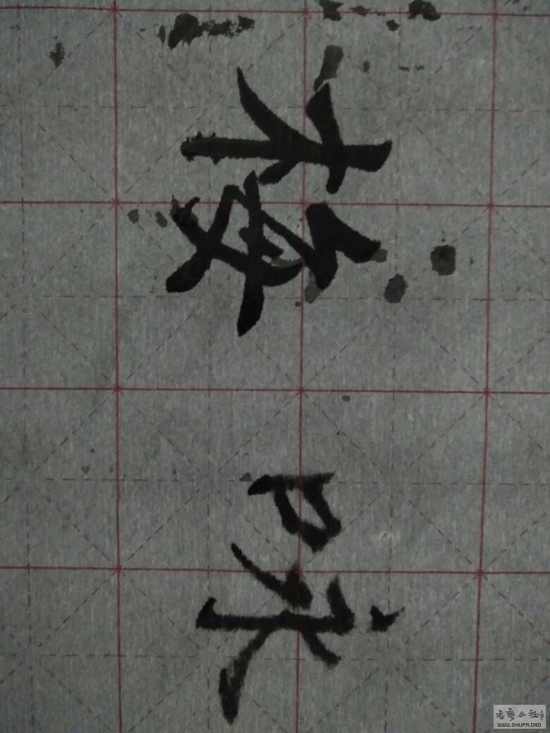 231304sdd850willq757l7.jpg