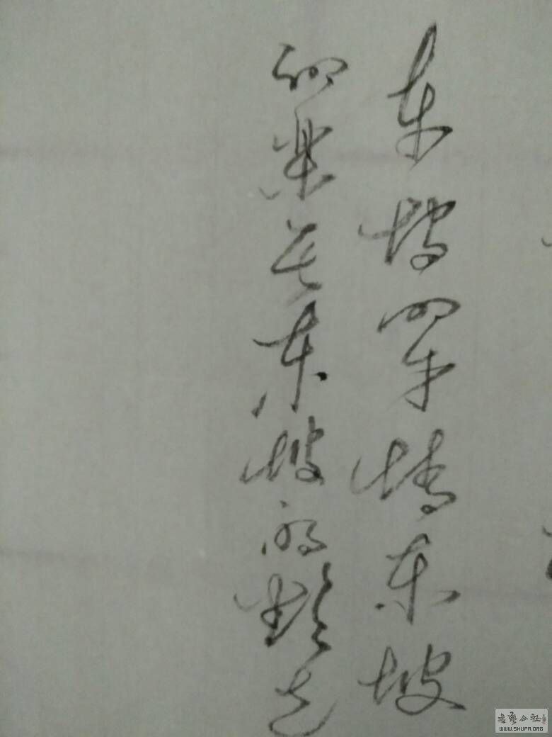 225445vy5mnfzn35xryfnp.jpg
