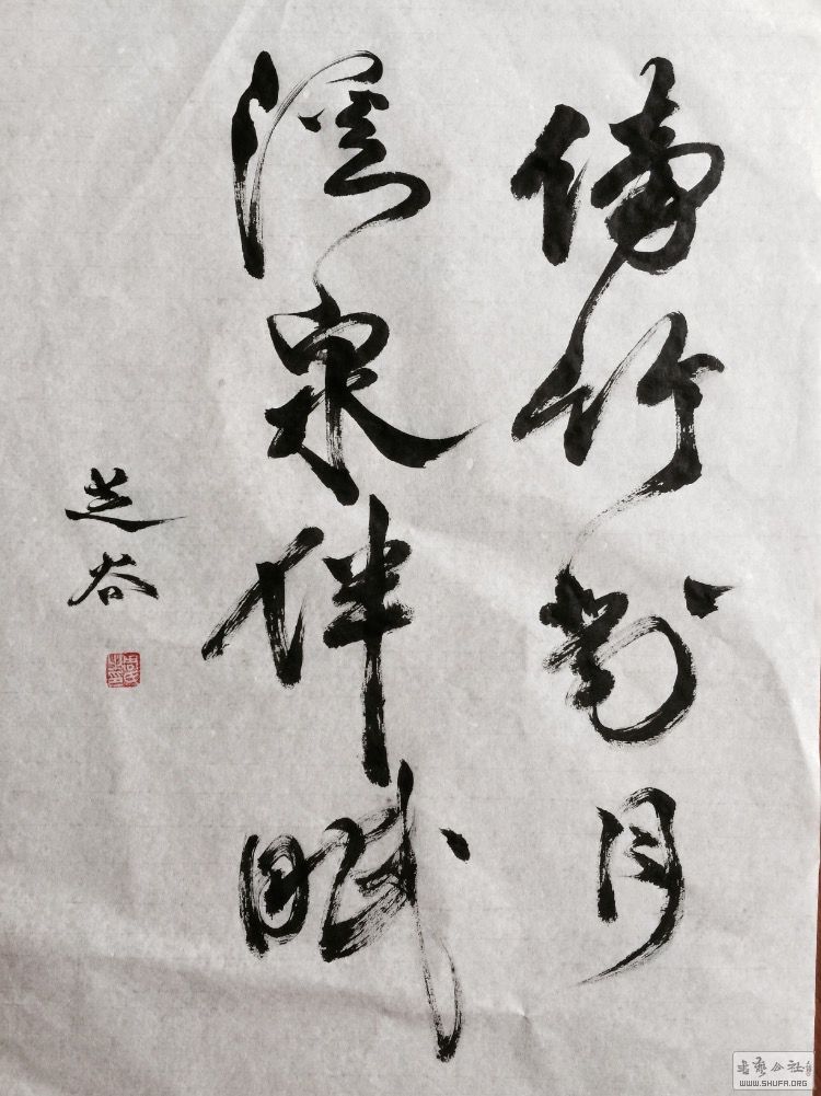 image.jpg
