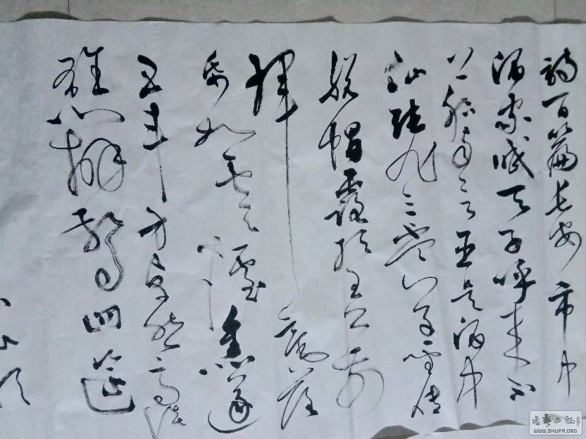 223103eouyzwj0kz0jukk8.jpg