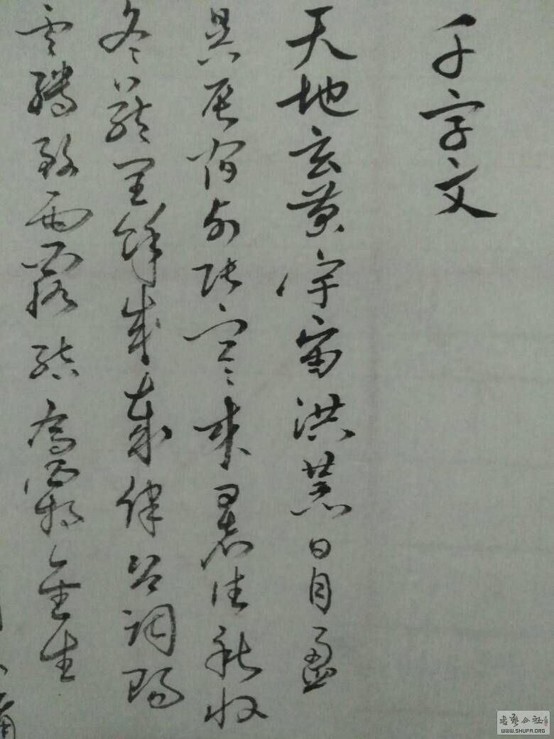 233623m64m5foxq6wmtqat.jpg