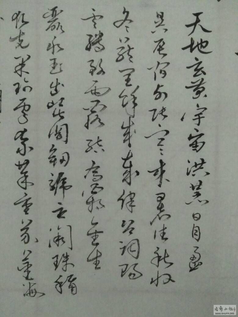 233625aoa84o3ox1zuzqqa.jpg