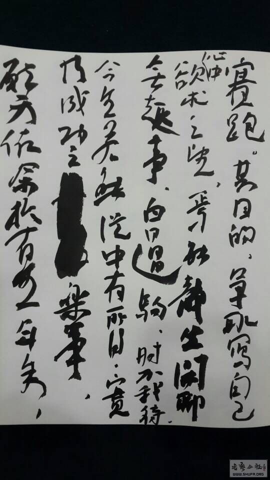 230753xhpolt1yzot6hkvd.jpg