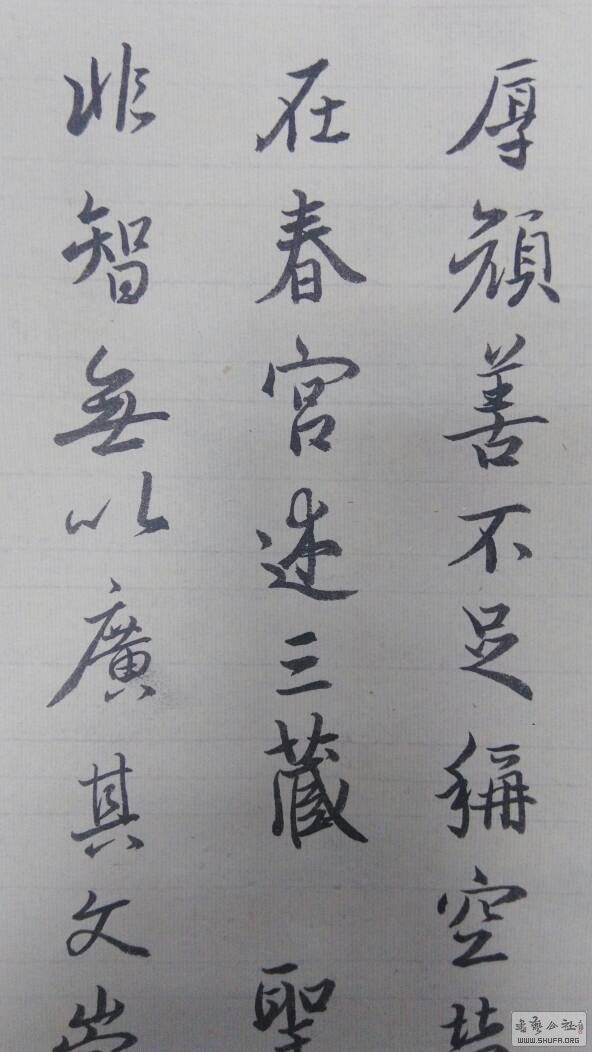 192212oftg00a1q44tpuzt.jpg