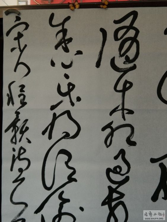 IMG20180526102053.jpg