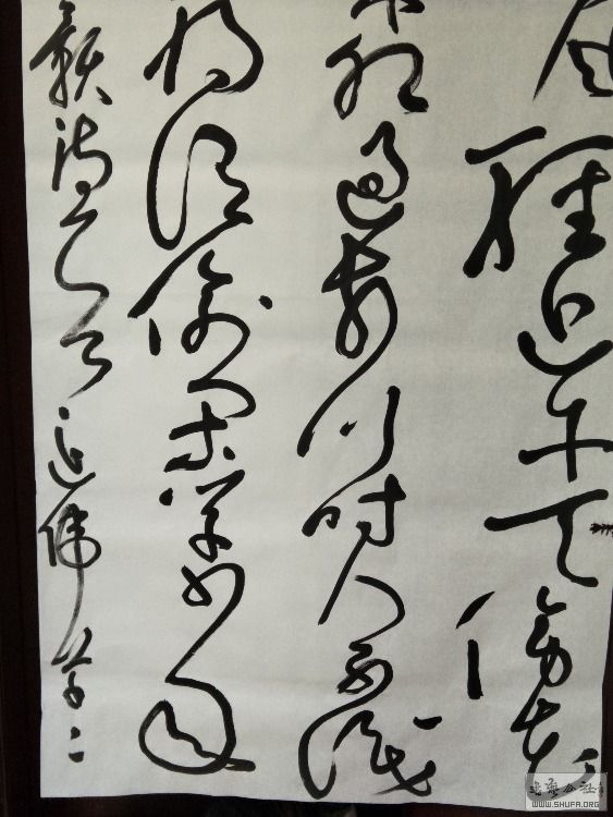 IMG20180526102127.jpg