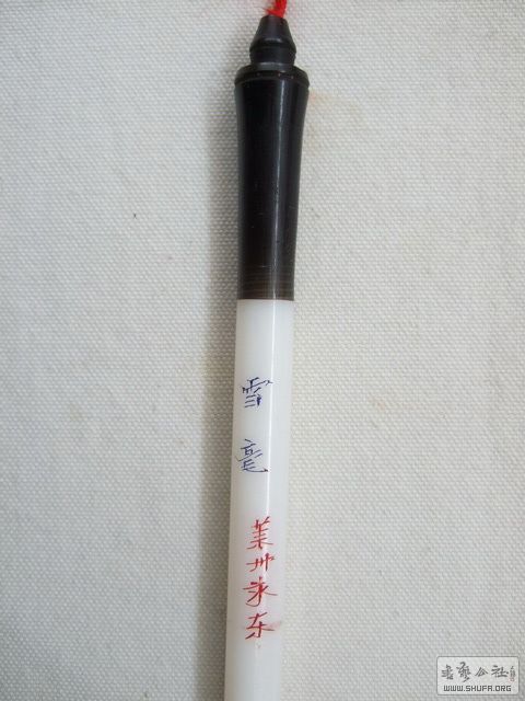 010.jpg