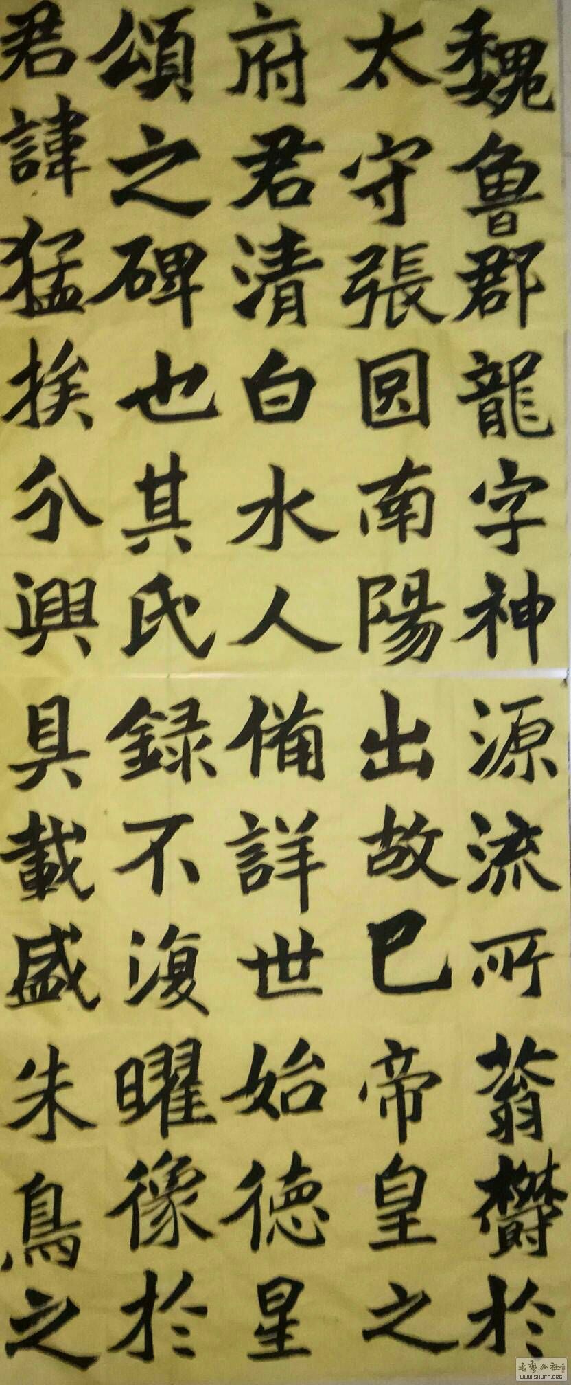 050249f6a64jzz6hnzljhy.jpg