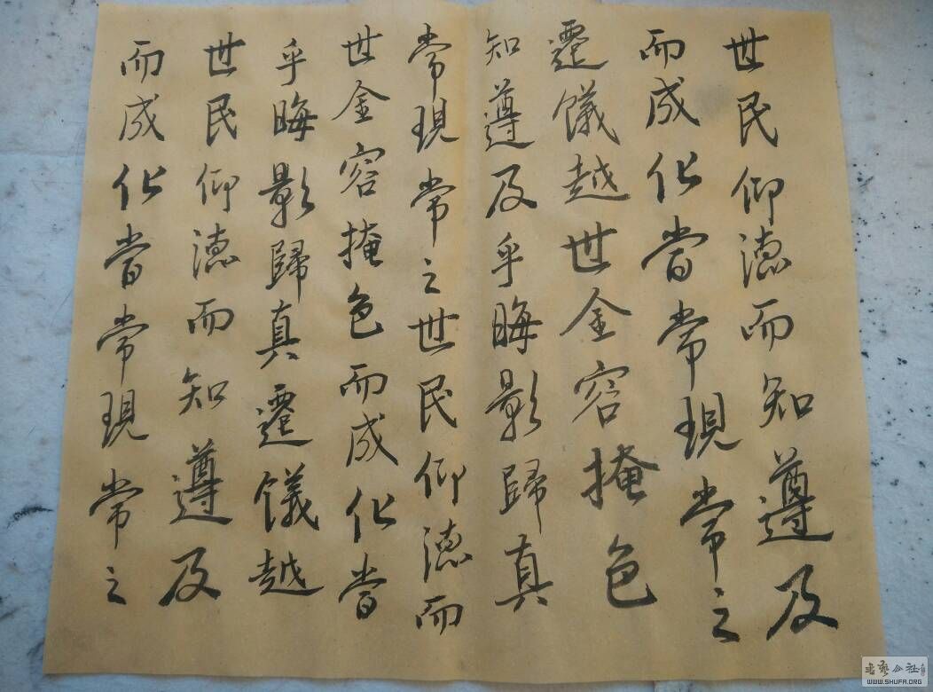 063245wkce16cu8tqqhqta.jpg