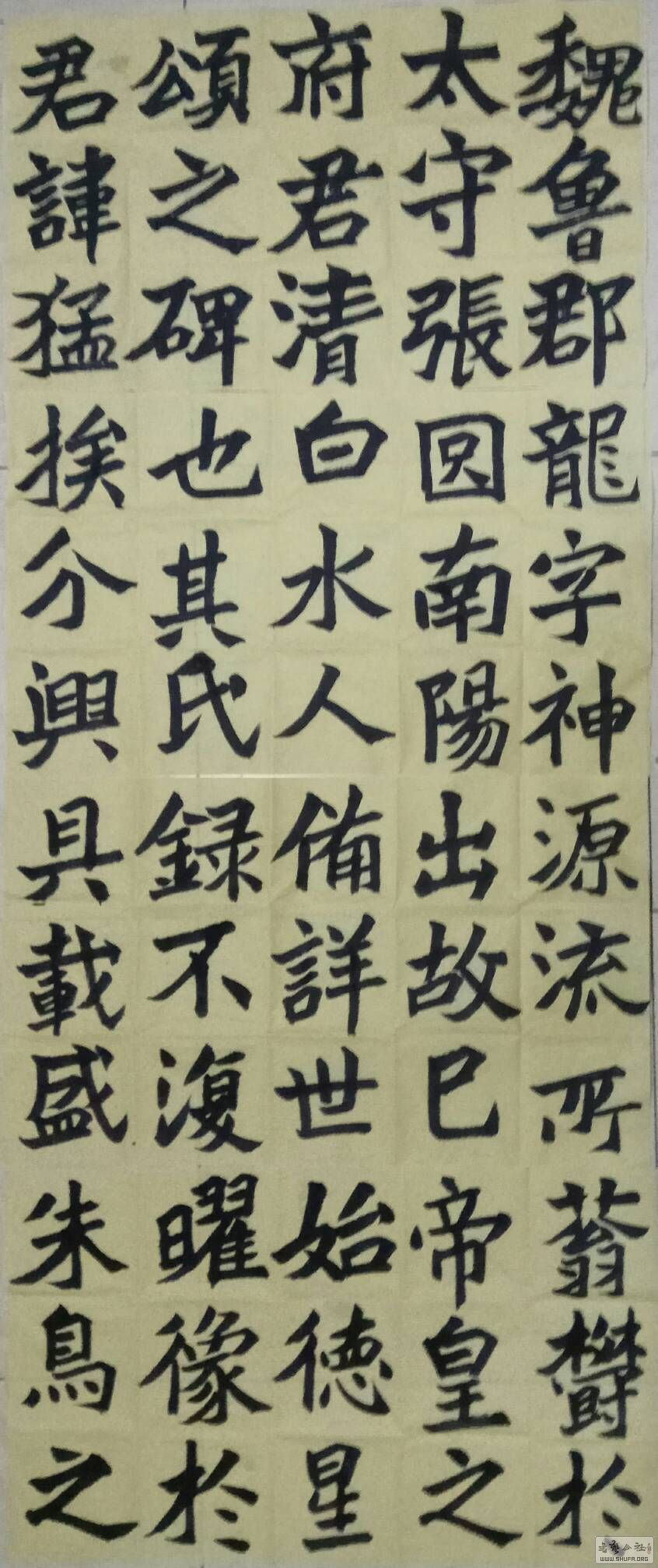 054625qr3ff9vv3vpjv133.jpg