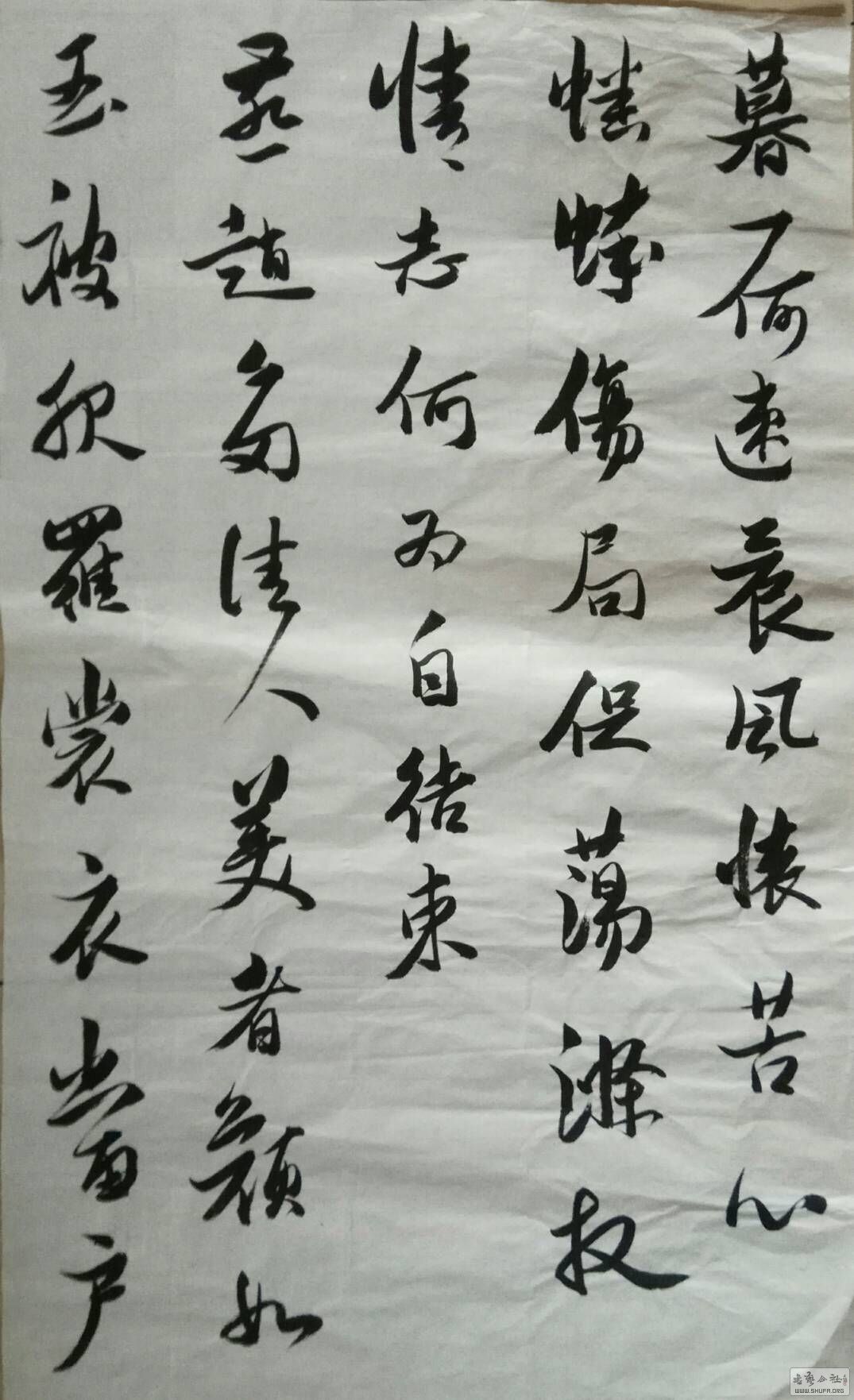 173425frpxnuufpfbpplgz.jpg