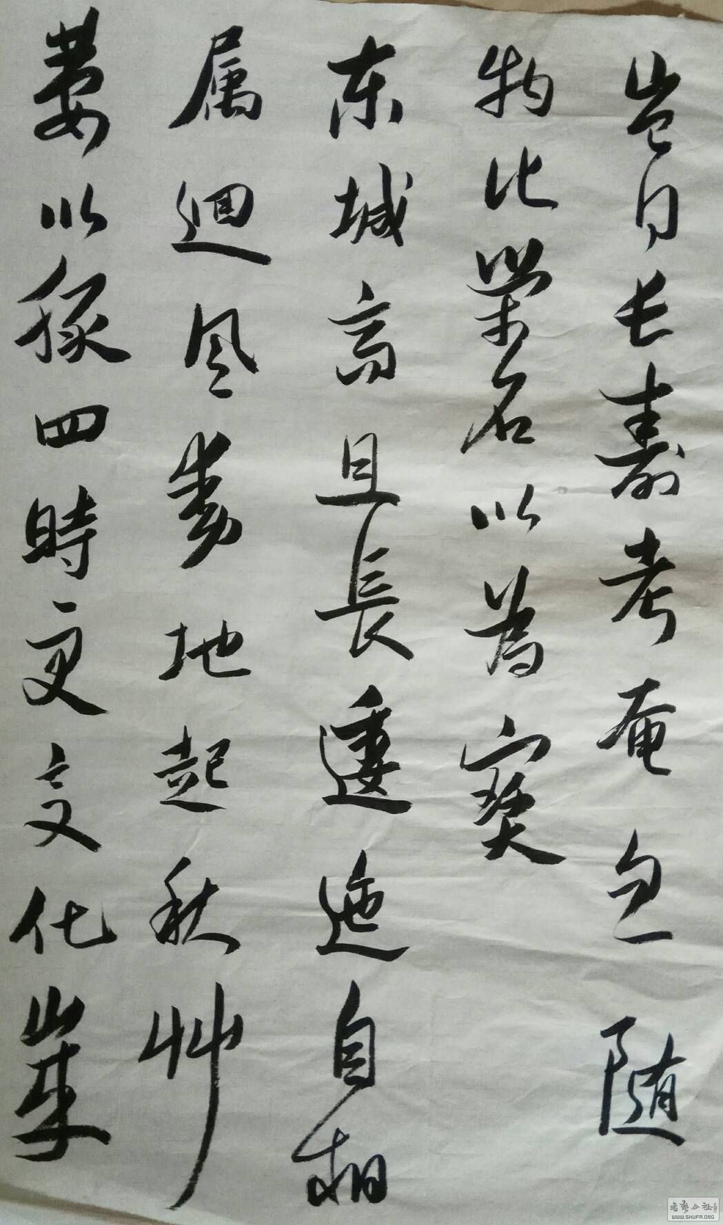 173427cjvbbp0ijw8vv2wi.jpg