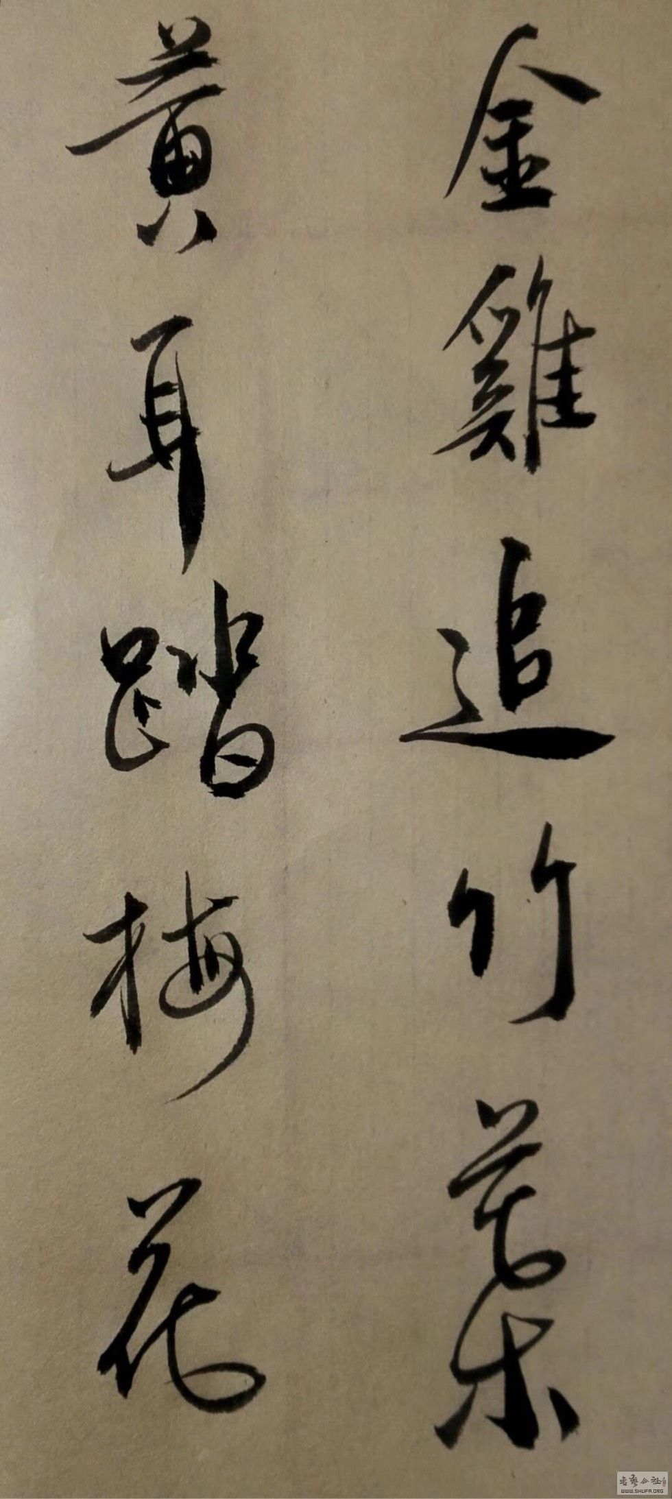 191035ygai2pjp6a3ucacg.jpg