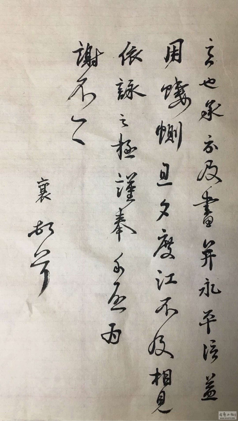 142757gcj1sv3jy7tytsvi.jpg