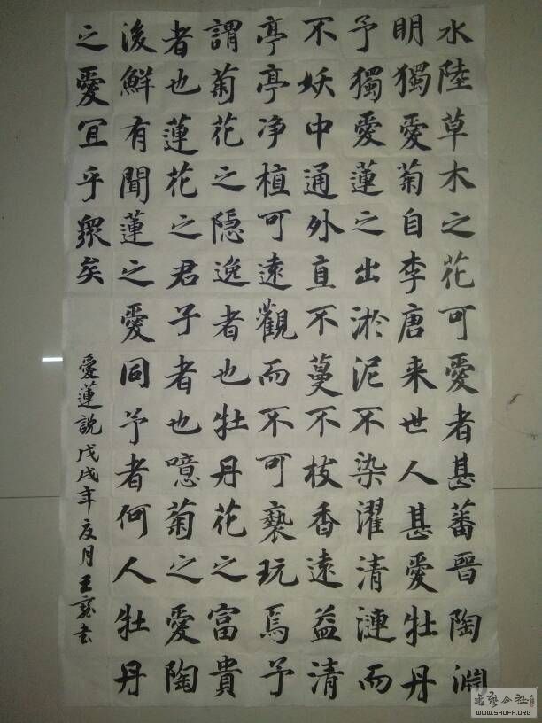 235622i1nmsn04onyzmmip.jpg